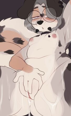 absurd_res ass australian_cattle_dog black_body black_fur bodily_fluids brown_body brown_fur canid canine canis cattledog collar conditional_dnp cross-eyed cuntboy domestic_dog ear_piercing ear_ring eyewear eyewear_only facial_piercing finger_fuck fingering fur genitals glasses glasses_only grey_background grey_body grey_fur grey_hair hair half-closed_eyes herding_dog hi_res humanoid_genitalia humanoid_penis intersex lip_piercing looking_pleasured male mammal masturbation narrowed_eyes nude pastoral_dog penis piercing punkypanda pussy ring_piercing shia_(thegreatfloki) simple_background snakebite_piercing solo stud_piercing sweat sweatdrop vaginal_masturbation vaginal_penetration wearing_glasses white_body white_fur