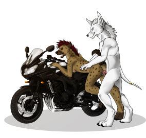 anthro anthro_on_anthro anthro_penetrated anthro_penetrating anthro_penetrating_anthro bent_over brown_body brown_fur canid canine closed_eyes duo erection female female_anthro female_penetrated from_behind_position fur genitals grin hair hyena male male/female male_anthro male_penetrating male_penetrating_female mammal motorcycle narrowed_eyes nude penetration penis red_hair red_penis sex short_hair side_view simple_background smile solaxe_(artist) spotted_arms spotted_back spotted_legs standing standing_sex vehicle white_background white_body white_fur white_hair yellow_eyes