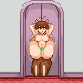 animated ass ass_focus ass_shake donut_anus door_of_the_defeated female legs_behind_head legs_up makoto_nanaya nude pixel_animation pixel_art pussy pussy_pasty restrained squirrel_humanoid squirrel_tail thecardwielder