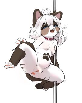 4_toes anthro anus ass bedroom_eyes big_ass big_butt blue_eyes blue_sclera breasts capcom claws collar cowlick dancing fangs featureless_breasts feet felid feline felyne female footprint fur genitals gloves_(marking) hair hi_res hitomi_(kazukio) kemono leg_markings long_hair lynian male mammal markings monster_hunter motion_lines narrowed_eyes open_mouth pawpads pawprint pawprint_(marking) plump_labia pole pole_dancing pussy rapel seductive short_stack simple_background slightly_chubby small_breasts smile socks_(marking) solo solo_focus striped_markings stripes teeth thick_thighs toes tongue white_background white_body white_fur