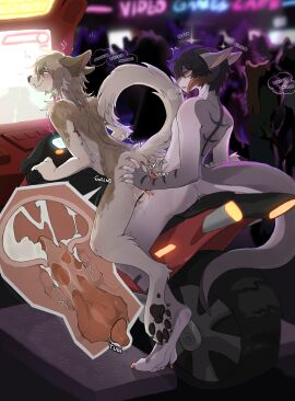 absurd_res anthro anthro_on_anthro arcade arcade_machine ass beast_(tbdborzoi) being_watched bodily_fluids borzoi canid canine canis casual_exposure casual_nudity casual_sex cum cum_in_pussy cum_inside cuntboy domestic_dog dragon duo european_mythology exhibitionism genital_fluids hand_on_ass hand_on_butt hi_res hunting_dog internal intersex intersex/male kade_(kyunami) knot knotting looking_at_another male male/male mammal mythological_creature mythological_scalie mythology paws penetration public public_nudity public_sex pussy racing rear_view scalie sex sighthound tbdborzoi vaginal_penetration voyeur western_dragon x-ray_view