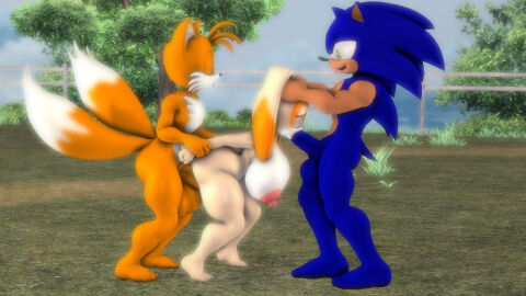 1girls 2_penises 2boys cream_the_rabbit diphallia diphallism double_penetration female fox grabbing_ears hedgehog male multi_genitalia multi_penis nude penis rabbit sega sonic_(series) sonic_the_hedgehog sonic_the_hedgehog_(series) sonicthebitch spitroast straight tails_the_fox threesome
