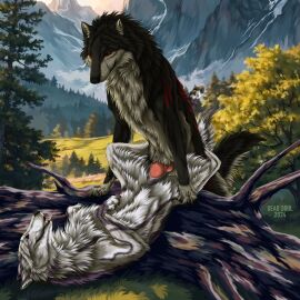 animal_genitalia animal_penis animal_pussy black_body black_fur canid canine canine_genitalia canine_penis canine_pussy canis closed_eyes detailed_background duo erection female female_penetrated feral feral_on_feral feral_penetrated feral_penetrating feral_penetrating_feral fluffy forest from_front_position fur genitals grass grey_body grey_fur hi_res knot looking_at_another looking_pleasured lying male male/female male_penetrating male_penetrating_female mammal markings missionary_position mountain msdeadsoul nature nature_background on_back open_mouth outside paws penetration penile penile_penetration penis penis_in_pussy plant pussy quadruped red_eyes sex smile tail teeth tongue tongue_out tree vaginal_penetration white_body white_fur wolf