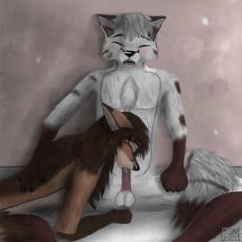 absurd_res anthro anthro_on_anthro arctic_fox athletic balls bathing black_nose bodily_fluids breasts brown_body brown_fur brown_hair canid canine canis chest_tuft claws closed_eyes covered_breasts cum cum_drip cum_in_mouth cum_inside detailed detailed_background detailed_fur digital_media_(artwork) dipstick_ears dipstick_tail dripping duo ear_markings ejaculation elvira_(michalinovic) erection eyebrows facial_markings fellatio female fluffy fluffy_tail fondling fox fur fur_markings genital_fluids genitals gimp_(artwork) glans glans_in_mouth glans_play glansjob gloves_(marking) hair happy happy_sex head_markings hi_res humanoid_genitalia humanoid_hands humanoid_penis intense_orgasm intraspecies jarek_(michalinovic) leg_markings licking long_hair looking_pleasured love lying lying_on male male/female mammal markings michalinovic multicolored_body multicolored_ears multicolored_fur multicolored_tail on_front open_mouth oral orgasm orgasm_face penile penis penis_in_mouth penis_lick red_fox romantic romantic_ambiance romantic_couple romantic_sex saliva sex shower shower_sex showering sitting socks_(marking) tail tail_markings teeth tender tongue true_fox tuft wet wet_body white_body white_fur white_hair