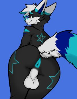 anthro anus anus_focus ass backsack balls ballsack bedroom_eyes big_balls blue_anus blue_body blue_eyes blue_fur blue_markings blue_nose canid canine cosmothefennec femboy fennec_fox fox fur genitals girly hair hi_res male mammal markings narrowed_eyes niccoon presenting presenting_anus presenting_balls presenting_hindquarters raised_tail seductive solo star_(marking) tail true_fox white_balls white_ears white_hair