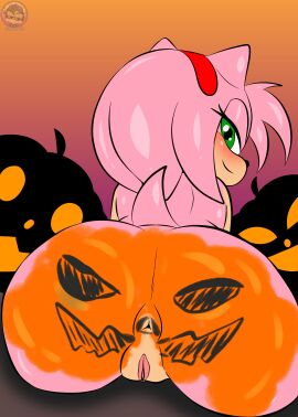 absurd_res accessory amy_rose anthro anus ass ass_focus blush breasts butt_focus digital_media_(artwork) digital_painting_(artwork) eulipotyphlan female food fruit fur genitals gradient_background green_eyes hair hair_accessory halloween hedgehog hi_res holidays jack-o'-lantern looking_at_viewer looking_back looking_back_at_viewer mammal nude paint pink_body pink_fur pink_hair plant pumpkin pumpkin_butt pussy sega simple_background sirjzau solo sonic_(series) sonic_the_hedgehog_(series)