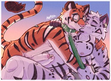 ak1ta_one anthro bodily_fluids closed_eyes collar duo eyewear felid foreskin frottage fur genital_fluids genitals glasses grey_body grey_fur hi_res humanoid_genitalia humanoid_penis kissing leash leash_pull leashed_collar male male/male mammal nipple_piercing nipples nude orange_body orange_fur pantherine penile penis piercing precum round_glasses sex striped_body striped_fur stripes tail tiger uncircumcised