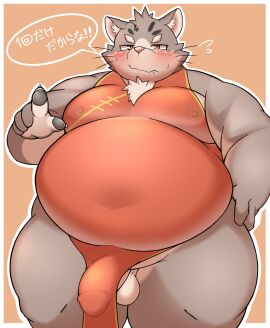 0907_kapi anthro asian_clothing balls blush bulge chinese_clothing chinese_dress clothed clothing crossdressing detailed_bulge domestic_cat dress east_asian_clothing felid feline felis fur genital_outline genitals grey_body grey_fur hi_res japanese_text lifewonders male mammal navel_outline no_underwear penis penis_outline sitri_(tas) solo text tokyo_afterschool_summoners