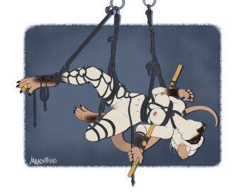 2023 6_nipples anthro areola arm_spreader belly_nipples biped black_claws black_markings blindfold bondage bound breasts buckteeth claws digit_ring ear_piercing ear_ring facial_markings facial_piercing feet female genital_piercing genitals gloves_(marking) hair hair_bun head_markings jewelry leg_markings malachyte mammal markings mask_(marking) multi_nipple murid murine navel nipple_piercing nipples nose_piercing nude pathfinder piercing pink_nose pussy pussy_piercing rat ratfolk restraints ring ring_piercing rodent rope rope_bondage rope_harness short_hair simple_background smile socks_(marking) solo spreader_bar suspension suspension_bondage teeth toe_claws toe_ring toes whiskers white_hair