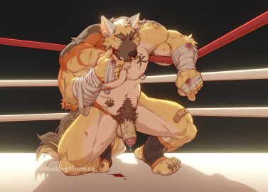 anthro band-aid band-aid_on_leg bandage bandaged_arm bodily_fluids canid canine canis clenched_teeth clothing domestic_dog dripping facial_piercing fighting_ring footwear foreskin genital_fluids genitals german_shepherd grimace half-erect herding_dog hi_res humanoid_genitalia humanoid_penis kneeling_on_one_leg male mammal muscular muscular_male nipple_piercing nipple_ring nipples nokapuppy nose_piercing nose_ring nosebleed nude one_eye_closed partially_retracted_foreskin pastoral_dog penis piercing precum precum_drip pubes retracted_foreskin ring_piercing rollingstoneeeeee socks solo stirrup_socks teeth thick_penis uncircumcised