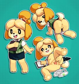 2025 absurd_res all_fours animal_crossing anthro anus ass blush bottomwear canid canine canis clipboard clothed clothing domestic_dog featureless_chest female flat_chested front-print_panties gaturo genitals hi_res isabelle_(animal_crossing) looking_at_viewer mammal multiple_poses nintendo nude panties panties_down panties_removed partially_clothed pose presenting print_clothing print_panties print_underwear shirt skirt smile spread_legs spread_vulva spreading standing tail topwear underwear underwear_down urethra vulva white_clothing white_panties white_underwear yellow_body