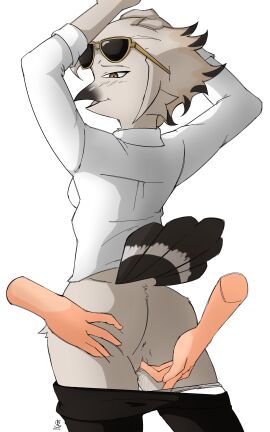 2021 5_fingers absurd_res anthro anus ass assisted_spreading avian beak bird black_beak black_body black_bottomwear black_clothing black_feathers black_highlights black_lens black_pants blush blush_lines bodily_fluids bottomwear bottomwear_down breasts bucerotiform clothed clothing collaboration cuknite32 disembodied_hand dress_shirt eurasian_hoopoe eyewear feather_tuft feathers female finger_fuck fingering fingers genital_fluids glistening glistening_beak glistening_eyewear glistening_sunglasses hand_on_head hi_res highlights_(coloring) hip_tuft hoopoe jupiterorange kaltespurstyle lorenzo_(royluna) non-mammal_breasts panties panties_down pants pants_down partially_clothed portrait pupils pussy raised_hand rear_view shaded shirt simple_background slit_pupils small_breasts solo spread_ass spread_butt spreading sunglasses tail tail_feathers three-quarter_portrait topwear tuft underwear underwear_down vaginal_fluids vaginal_penetration white_background white_clothing white_dress_shirt white_feather white_panties white_shirt white_topwear white_tuft white_underwear yellow_eyes yellow_eyewear yellow_sunglasses