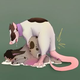 1:1 2boys 2d age_difference ambiguous_gender anthro anthro_on_feral anthro_penetrated ass belly_blush big_belly blush bodily_fluids body_blush brown_body brown_fur brown_hair cum cum_in_ass cum_inside cum_pool cum_through digital_media_(artwork) drooling duo duo_focus excessive_cum excessive_genital_fluids femboy feral feral_penetrating feral_penetrating_anthro fur genital_fluids genitals girly inflation interspecies lagomorph leporid lilac_(puppi) lupus_(puppi) male male/male male_focus male_only male_penetrated male_penetrating male_penetrating_male mammal markings mouse murid murine naked nude open_mouth penetration penile penis puppi rabbit rat rodent saliva sex simple_background spots spotted_body spotted_fur tail tongue tongue_out white_body zoophilia