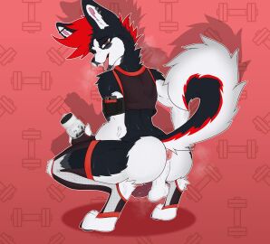 animal_genitalia animal_penis anthro anus athletic athletic_wear balls black_body black_fur bodily_fluids bottle brown_eyes canid canine canine_genitalia canine_penis canis clothed clothing container crouching curled_tail cutefckngbunny domestic_dog ear_piercing electronics facial_piercing footwear fur furgonomic_footwear furgonomics genitals grey_body grey_fur hair hi_res highlights_(coloring) husky industrial_piercing lip_piercing looking_at_viewer looking_back male mammal mohawk musk musk_clouds nordic_sled_dog partially_clothed paws penis perineum phone piercing red_hair red_penis sebastian_the_husky snakebite_piercing solo spitz sweat tail water_bottle white_body white_fur