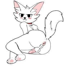 1boy 2d :3 animal_genitalia animal_penis anthro anthro_femboy anthro_male anthro_only anus balls boykisser boykisser_(meme) canine_penis cum erection felid feline felis femboy fur genitals knot knotted_penis lying male male_only nekobias paws penis presenting presenting_anus presenting_hindquarters sheath silly_cat_(mauzymice) smug sole_male solo tail white_background white_body white_fur