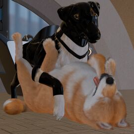 3d_(artwork) angry angry_sex anonyartist3d asphyxiation barkley_(canine_conundrum) black_body black_fur blind border_collie breath canid canine canis closed_eyes clothing collie deaf digital_media_(artwork) disability domestic_dog duo faceless_character faceless_male female feral feral_on_feral feral_penetrated feral_penetrating feral_penetrating_feral floor floppy_ears fluffy footwear fur futuristic_clothing futuristic_setting genitals glistening glistening_latex growling harness herding_dog hi_res knot knotted_penis latex latex_clothing latex_footwear latex_harness latex_hood latex_socks lying lying_on_ground male male/female mammal multicolored_body multicolored_fur on_back on_ground panting pastoral_dog penetration penis pointy_ears questionable_consent realistic_feral science_fiction sensory_deprivation sex sheepdog shiba_inu socks spitz stretched_pussy tile tile_floor tongue tongue_out unable_to_speak unnamed_character vaginal_penetration white_body white_fur yellow_body yellow_fur