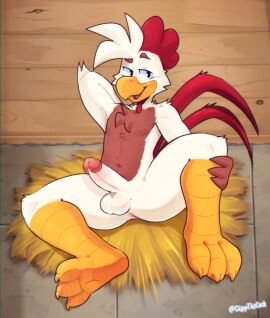 chicken chippthecock dick furry horny male naughty_face penis sitting