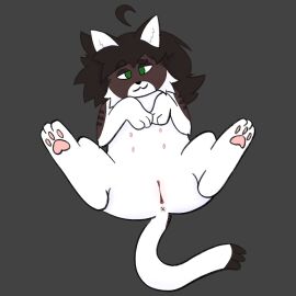 anus brown_body brown_fur brown_hair cuntboy domestic_cat felid feline felis feral fur genitals hair hi_res intersex mammal pussy smile soliloquysol solo white_body white_fur