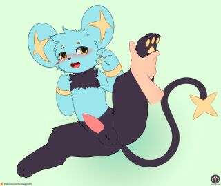 absurd_res anthro balls blush fangs generation_4_pokemon genitals hi_res leg_grab lying male nintendo paws penis pokemon pokemon_(species) raised_leg senz shinx solo tail teeth