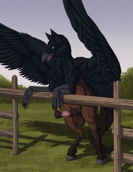 animal_genitalia animal_penis avian balls beak black_body black_feathers blue_eyes brown_body claws detailed_background english_text equine_genitalia equine_penis erection european_mythology feathered_diva feathers fence feral genitals grass greek_mythology hi_res hippogriff hooves kalinger_(kehreazerith) looking_at_viewer male male_feral mythological_avian mythological_creature mythology open_mouth open_smile outside penis pink_tongue plant smile solo tail text tongue wings