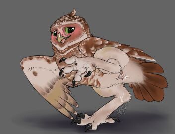 after_sex artist_name bird burrowing_owl cum digger furry furry_fandom guardians_of_ga'hoole legs_up owl raised_leg solo talons tongue tongue_out