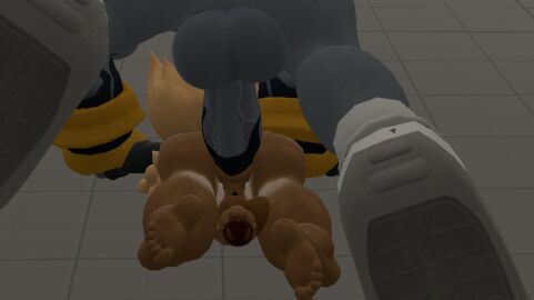 3d albatross anal anthro ass avian balls barely_visible_genitalia barely_visible_pussy big_penis bird breasts canid canine canis clothing digital_media_(artwork) duo erection footwear full-package_futa fur futa_penetrated futanari genitals gloves handwear herm herm/male herm_penetrated hermaphrodite idw_publishing intersex intersex/male intersex_penetrated male male_on_futa male_penetrating male_penetrating_herm male_penetrating_intersex mammal megaswitchsfm multi_genitalia nude penetration penis procellariiform pussy sega sex shoes sonic_(series) sonic_riders sonic_the_hedgehog_(comics) sonic_the_hedgehog_(idw) sonic_the_hedgehog_(series) source_filmmaker_(artwork) storm_the_albatross tail unfinished whisper_the_wolf wolf