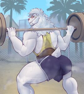 1980s_theme absurd_res albino anthro ass balls balls_outline barbell barbell_squats baron_walker biped bodily_fluids bovid bulge bulge_from_behind caprine detailed_bulge freakdan1el genital_outline hi_res male male_anthro mammal red_eyes sheep solo squats sweat sweaty_ass sweaty_butt weightlifting_belt