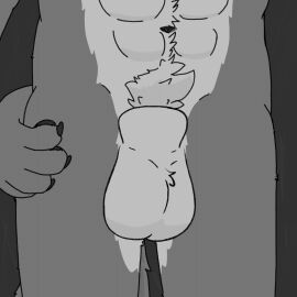 abs animal_genitalia animal_penis animated anthro balls balls_slap balls_tuft big_balls big_penis bodily_fluids body_hair bouncing_balls breath canid canine canine_genitalia canine_penis canis claws cockslap digital_drawing_(artwork) digital_media_(artwork) dripping ejaculation erection faceless_character faceless_male frame_by_frame fully_sheathed fur genital_fluids genitals grey_body grey_fur hand_on_hip hands-free happy_trail hi_res knot knot_in_sheath knotted_penis kodiff leaking_precum long_penis male male_only mammal mature_anthro mature_male muscular muscular_anthro muscular_male nude pawpads penis pink_penis precum precum_drip precum_on_penis precum_squirt precum_string presenting pubes sheath simple_background slap solo swing swinging_penis tail tail_motion tailwag thick_penis throbbing throbbing_balls throbbing_penis tuft wolf