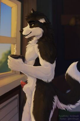 animal_genitalia animal_penis anthro balls beverage biped black_body black_fur black_nose border_collie canid canine canis coffee coffee_mug collie countershade_legs countershade_tail countershade_thighs countershade_torso countershading domestic_dog fluffy fur genitals grayson_starbone herding_dog hi_res kinsheph light male mammal multicolored_body multicolored_fur nude pastoral_dog penis penis_tip raised_tail sheath sheepdog solo sunlight tail two-tone_body two-tone_fur warm_lighting white_body white_fur window yellow_eyes
