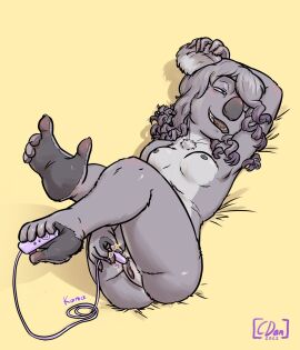 anthro black_nose breasts cdan2022 chest_tuft feet female fur grey_body grey_fur grey_hair hair hair_over_eye hand_behind_head hi_res koala legs_up lying mammal marsupial masturbation nude on_back one_eye_obstructed prehensile_feet pussy simple_background small_breasts smile solo toes tuft vaginal_masturbation vaginal_penetration vibrator_on_pussy vombatiform