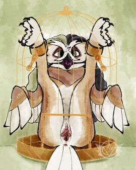 4:5 4_toes animal_humanoid anonymous_gardevoir anthro anus avian avian_humanoid ball_gag beak belly big_clitoris bird birdcage black_beak black_hair bondage bound caged clitoris cuff_(restraint) cuntboy feathers feet gag garret_(anonymousgardevoir) genitals green_eyes green_hair hair hi_res humanoid intersex legs_up lidded_eyes neck_tuft on_display owl presenting presenting_pussy pussy questionable_consent restrained_ankles restraints solo tan_body toes trans_(lore) trans_man_(lore) tuft white_belly white_body white_feathers white_tail_feathers winged_arms wings zygodactyl