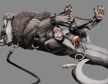 anus black_claws brown_body brown_fur canid canine canis claws dragon female feral fur furred_dragon genitals hybrid mammal mythological_creature mythological_scalie mythology pawpads penetration pink_anus pink_pawpads pink_pussy pussy scalie sex_toy silas_zeranous solo teeth vaginal_penetration venlightchaser white_body white_fur wolf