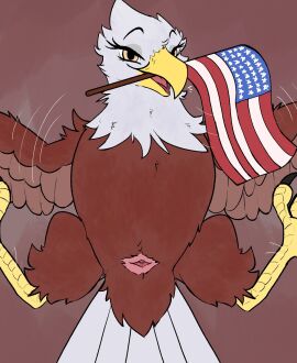 4th_of_july accipitrid accipitriform animal_genitalia avian avian_butt bald_eagle bird cloaca eagle feathers feet female female_feral feral genitals hi_res holidays presenting presenting_cloaca sea_eagle solo spreading tail tail_feathers talons toes urefunest