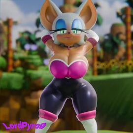 3d 3d_animation animated anthro bat cleavage female huge_breasts looking_at_viewer lordpyro9 rouge_the_bat smile solo sonic_(series) sound tagme video