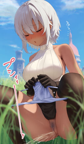 1girls absurdres bare_shoulders black_gloves black_thighhighs blue_panties blue_sky blush borrowed_character breasts closed_eyes cloud commentary_request commission dark-skinned_female dark_skin day female female_pubic_hair gloves grass grey_pubic_hair highres large_breasts original outdoors panties panty_pull peeing pubic_hair pussy short_hair skeb_commission sky sleeveless sleeveless_sweater squatting sweater tan tansui_san_(tcjp4784) thighhighs underwear white_hair white_sweater