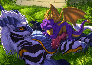 2025 activision black_sclera claws countershade_torso countershading dragon duo erection feral feral_on_feral finger_claws fur genitals grass hi_res horn hybrid jackrow knot knotted_penis larger_feral larger_male lying lying_on_another male male/male male_only membrane_(anatomy) membranous_wings mythological_creature mythological_scalie mythology on_back on_front penis plant purple_body purple_eyes purple_scales quadruped scales scalie semi-anthro shaded size_difference smaller_feral smaller_male snout spyro spyro_the_dragon striped_body striped_fur stripes tail toe_claws wairu watermark white_body white_fur wings yellow_body yellow_eyes yellow_scales