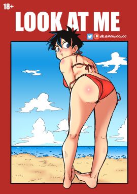 beach dragon_ball dragon_ball_z female lemonjoojoo videl