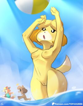animal_crossing anthro audie_(animal_crossing) ball_(object) beach beach_ball breasts canid canine canis casual_nudity clothing digby_(animal_crossing) domestic_dog female furry genitals group hi_res inflatable isabelle_(animal_crossing) male mammal nintendo nipples non-human_areolae nude one-piece_swimsuit outside pussy solo_focus stolen_clothing swimwear tofuuu trio wolf