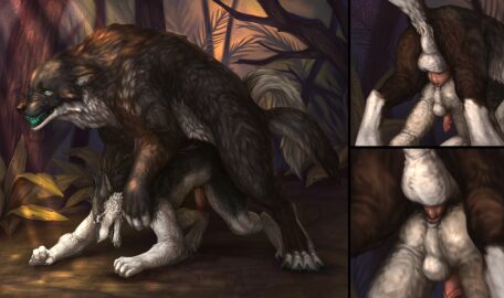 all_fours anal anal_knotting anal_sex animal_genitalia animal_penis anthro anthro_on_feral anthro_penetrated anus ass balls balls_size_difference canid canine canine_genitalia canine_penis canis close-up duo epsilon erection feral feral_penetrating feral_penetrating_anthro forest from_behind_position fur genitals hi_res interspecies knot knot_root knotting larger_feral larger_male male male/male male_on_anthro male_on_feral male_penetrated male_penetrating male_penetrating_male mammal mounting nude outside_sex penetration penile penile_penetration penis penis_in_ass perineum plant quadruped sergal sex size_difference smaller_anthro smaller_male smaller_penetrated st.likhod teeth tree wolf zoophilia