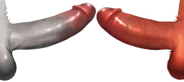 absurd_res anonymous_artist anthro ashkey_s_kaiser_(dragonhearted2164) balls chart duo female genital_focus genitals hair hi_res hybrid lifewonders male male/male penis penis_chart penis_comparison penis_size_chart penis_size_comparison penis_size_difference seth_(tas) seth_(tokyo_afterschool_summoners) size_chart size_comparison tokyo_afterschool_summoners