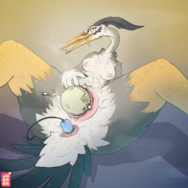 1:1 1girls ahe_gao anal anal_masturbation anal_sex anthro avian beak bird bodily_fluids breasts egg egg_laying feathers female female_only fingering genital_fluids heron hi_res jooper looking_pleasured masturbation naked non-mammal_breasts nude object_in_ass pelecaniform penetration pussy saliva sex_toy sex_toy_in_ass sex_toy_insertion siki solo spread_legs spreading tail tail_feathers tongue vaginal_fluids vaginal_penetration vibrator vibrator_in_ass