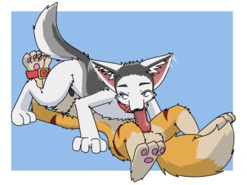 2d_animation 4:3 69_position animal_genitalia animal_penis animated anthro anthro_on_anthro anthro_penetrated anthro_penetrating anthro_penetrating_anthro balls belt_bondage biped bondage bound canid canine canine_genitalia canine_penis claws collar collar_only duo erection fellatio fluffy fluffy_tail fox friskykitsune fur genitals hands_tied knot loop low_res lying male male/male male_penetrated male_penetrating male_penetrating_male mammal narrowed_eyes nude on_back oral pawpads paws penetration penile penis penis_in_mouth sex sheath short_playtime simple_background slim spread_legs spreading tail tail_motion tailwag tan_body tan_fur thrusting white_body white_fur