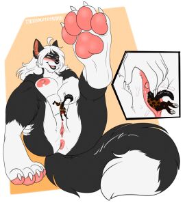 2024 absurd_res anthro anus ass bodily_fluids breasts canid canine canis duo extreme_size_difference feet female foot_fetish foot_focus genital_fluids genitals giantess hi_res hyena macro male male/female mammal menzo micro pawpads paws penetration pussy size_difference thaismotosuwa thick_thighs unbirthing unwilling_prey vaginal_fluids vaginal_penetration vore willing_pred wolf