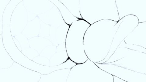 continue_after_cum continuous_ejaculation cum_in_ass cum_in_pussy cumming cumming_while_penetrating deep_penetration deepthroat gigantic_ass gigantic_breasts gigantic_penis huge_cock huge_load infinite_cum jadenarts male/female moaning_in_pleasure tagme video