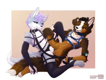 absurd_res anthro belt bernese_mountain_dog bondage brown_body canid canine canis collar cuntboy deantokki digital_media_(artwork) domestic_dog duo dxxk dxxk_tokki fox free_use frottage genitals harness hi_res intersex intersex/intersex leash leather male male/male mammal molosser mountain_dog ownership penile penis petplay puppyplay pussy roleplay rule_63 scissors sex stirrup_stockings straps swiss_mountain_dog tribadism vaginal_penetration wolf