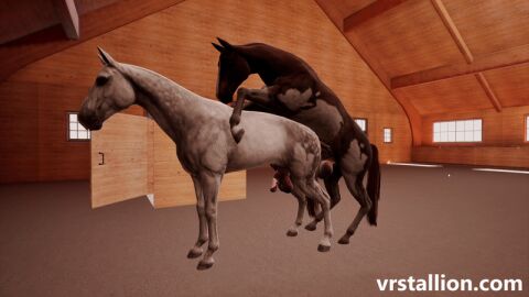2animals 3d 3d_animation anal anal_sex animal_genitalia animal_penis animated aroused aroused_male balls ballsack barn becoming_erect becoming_erect_while_penetrated big_balls big_penis bred breeding cock equine equine_balls equine_genitalia equine_penis erect_penis erection feral feral_focus feral_on_feral feral_only feral_penetrating game game_cg gay gay_anal gay_male gay_sex getting_erect hanging_balls hard_cock horse horse_penis horseballs horsecock huge_balls huge_cock large_balls large_penis male male/male male_penetrated male_penetrating male_penetrating_male mounted mounting original original_character penetration penis penis_in_ass stallion stretched_anus stretching stretching_anus veiny_penis video video_game video_game_character video_games virtual_reality vr vrstallion zoophilia