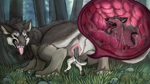 16:9 acidic animal_genitalia animal_penis animal_pussy anthro anthro_on_feral anthro_penetrating anthro_penetrating_feral anus balls bodily_fluids brown_eyes canid canine canine_genitalia canine_penis canine_pussy canine_vulva canis closed_eyes cum cumshot dragon drooling duo ejaculation erection fangs female female_penetrated feral feral_penetrated fur furred_dragon furred_scalie genital_fluids genitals grass grey_body grey_fur internal male male/female male_penetrating male_penetrating_female mammal masturbation mythological_creature mythological_scalie mythology narrowed_eyes open_mouth outside penetration penile penile_masturbation penis pink_tongue plant pussy red_penis rock saliva scalie sex silas_zeranous teeth tongue tongue_out tree unbirthing vaginal_penetration vore vulva white_body white_fur widescreen wolf zoophilia