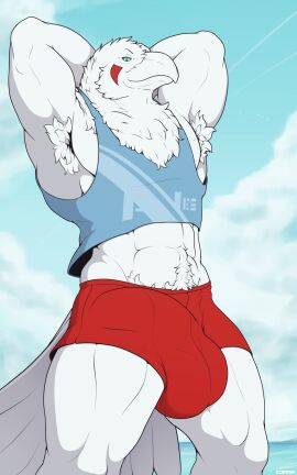 abs anthro armpit_hair avian balls balls_outline beak biceps big_bulge bird blue_eyes body_hair bulge clothed clothing cloud corrsk corrsk_(character) corvid corvus_(genus) detailed_bulge digital_media_(artwork) facial_markings feathers genital_outline genitals head_markings hi_res leucistic looking_at_viewer male markings muscular muscular_anthro muscular_male oscine outside passerine penis penis_outline pubes raven red_markings sky smile solo tail text tuft white_body white_feathers