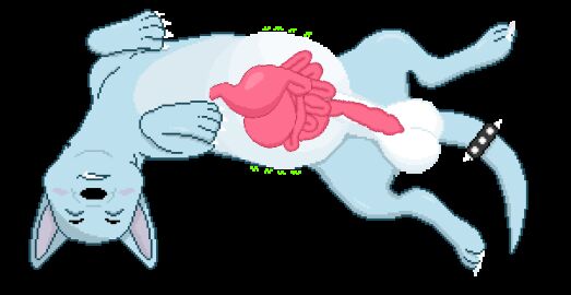 animal_genitalia animated balls belly blue_body blush claws closed_eyes digestion feral gay genitals internal lying male on_back sheath solo tail transparent_background ugly_bastard vore vorochi