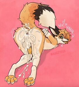 absurd_res after_sex anthro anus ass ass_up augzyfox bodily_fluids bound canid canine cum cum_in_ass cum_inside cum_on_ass cum_on_butt cumshot ejaculation erection feet fluffy fluffy_tail fox gaping gaping_anus genital_fluids genitals hands_behind_back hands_tied heart_symbol hi_res humanoid_genitalia humanoid_penis looking_pleasured male male_focus male_only mammal moan nude pawpads penis solo tail tongue tongue_out